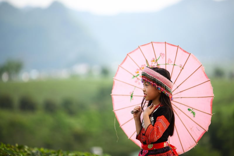 Vietnamese-Brazilian Fusion